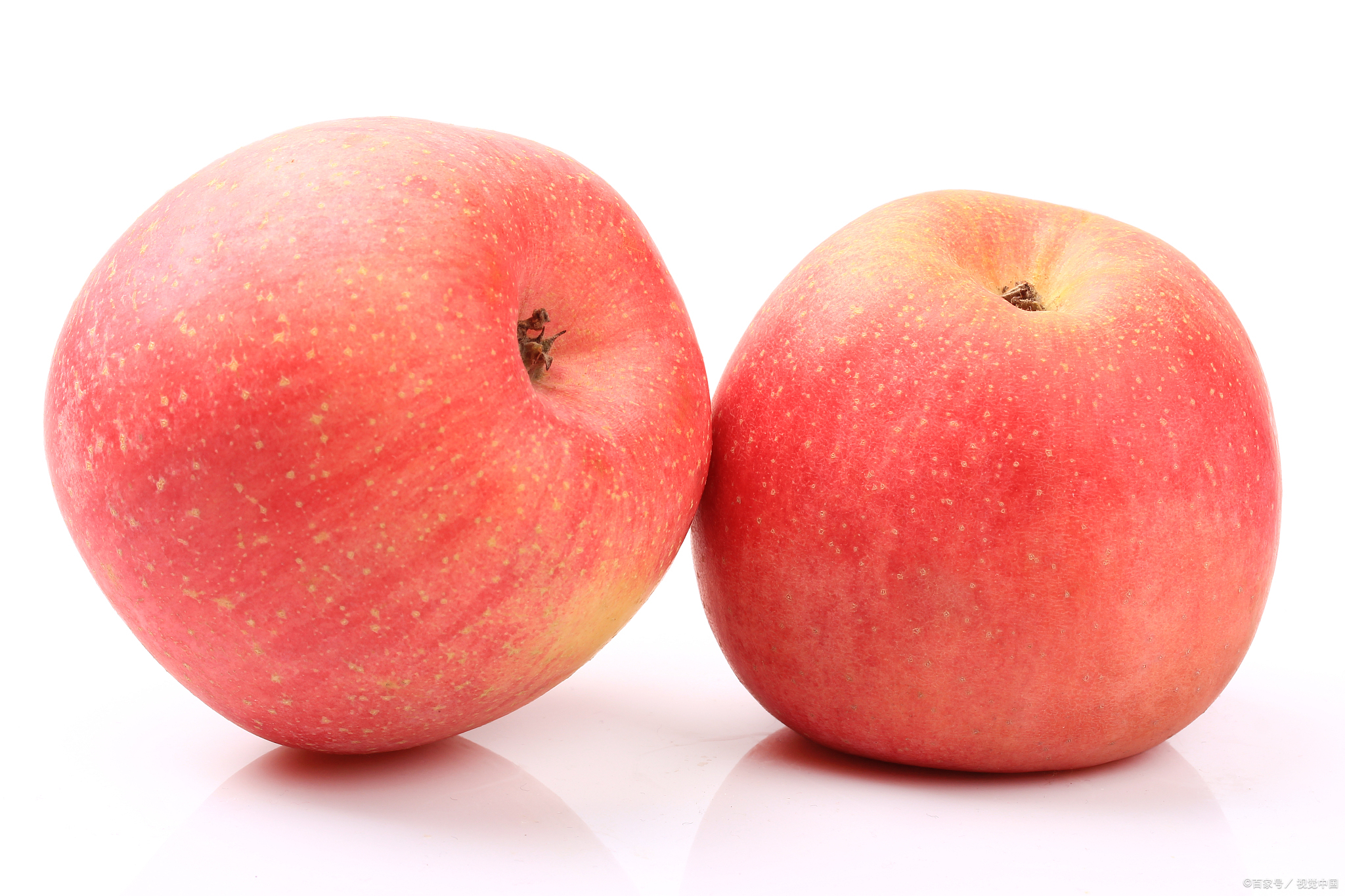 各种版苹果(苹果所有版型)-第5张图片-QuickQ官网