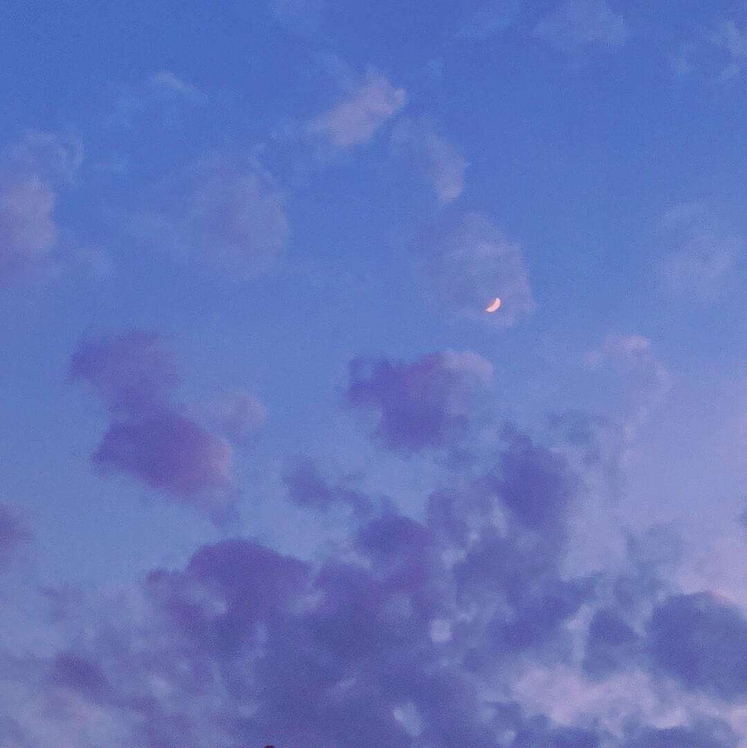 苹果版vsco破解版(vsco iphone破解版)-第5张图片-QuickQ官网