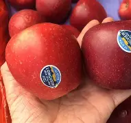 苹果派版小苹果(各种版本的小苹果)-第2张图片-QuickQ官网