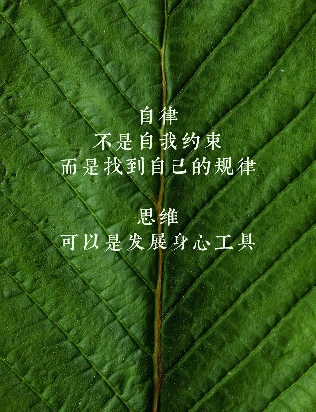 包含坚持锻炼自律壁纸手机版的词条-第2张图片-QuickQ官网